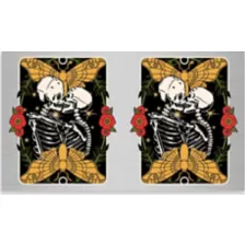 Skeleton Lovers Stainless Steel Water Bottle - 17 oz. at Spencer's