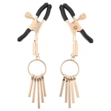 Verge Nipple Clamps at Spencer's