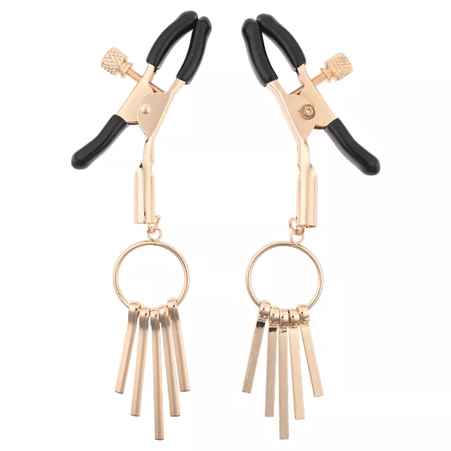 Verge Nipple Clamps at Spencer's