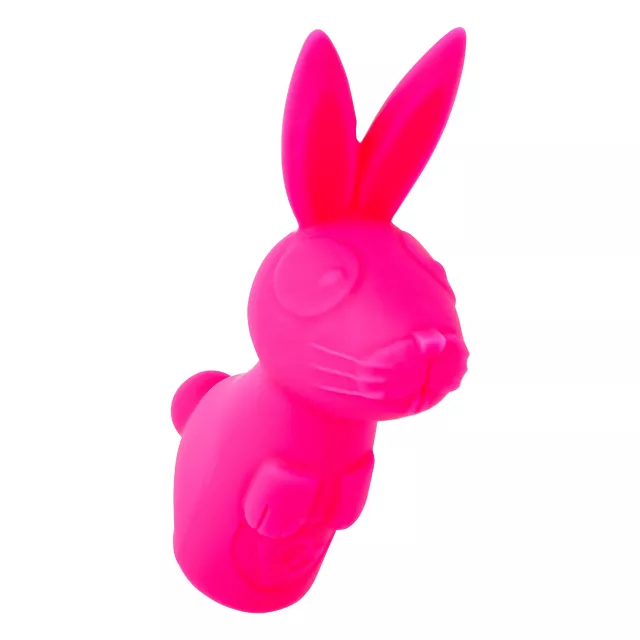 The Bunny Box Sex Toy Kit at Spencer's