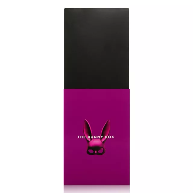 The Bunny Box Sex Toy Kit at Spencer's
