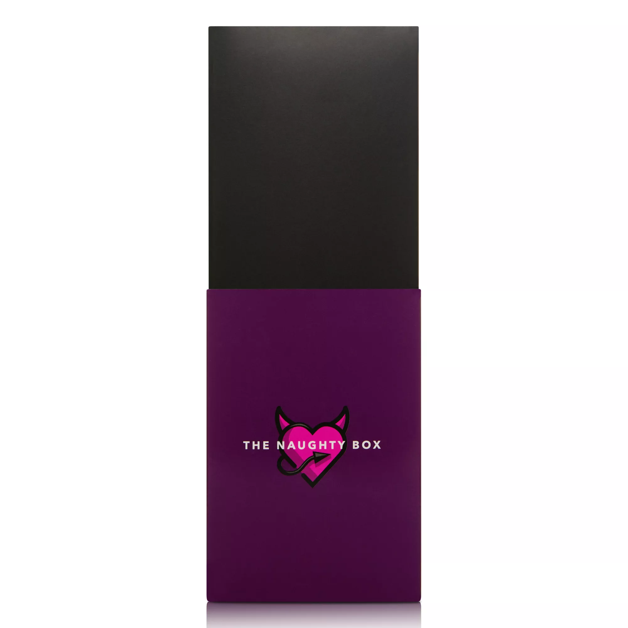 The Naughty Box Sex Toy Kit at Spencer's