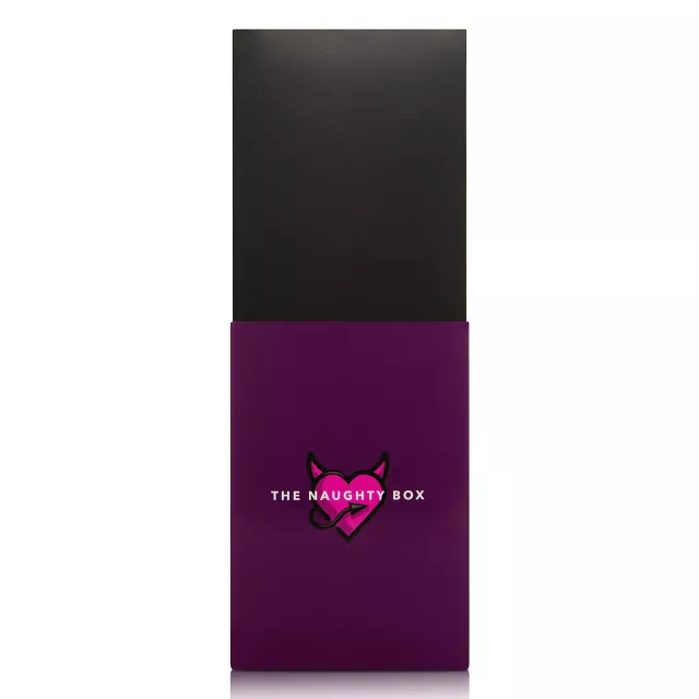 The Naughty Box Sex Toy Kit at Spencer's