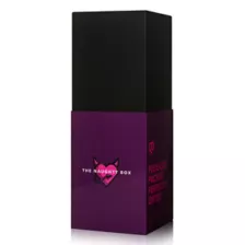 The Naughty Box Sex Toy Kit at Spencer's