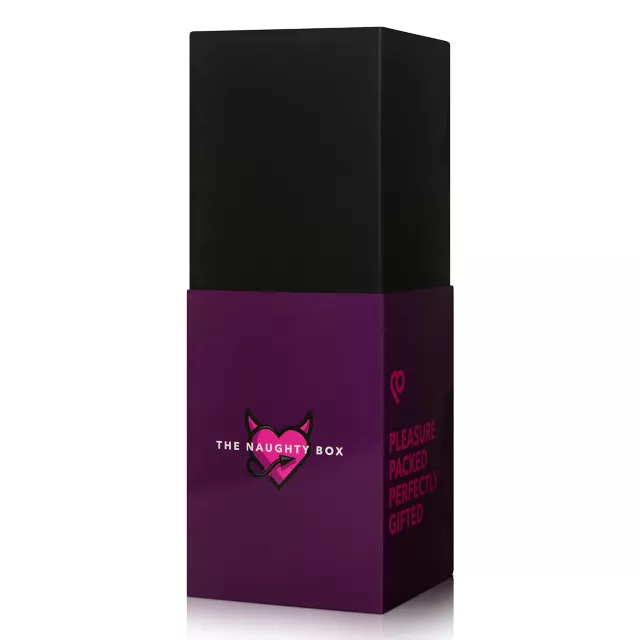 The Naughty Box Sex Toy Kit at Spencer's