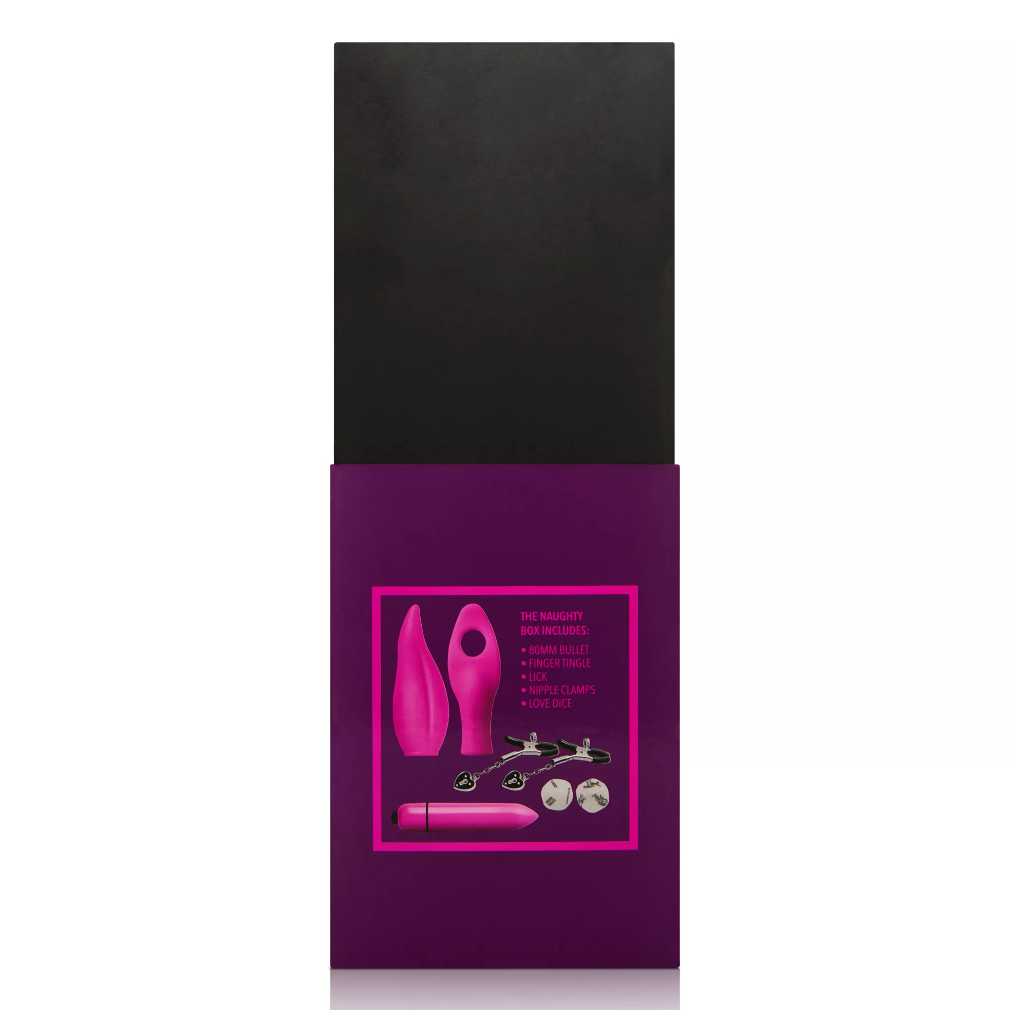 The Naughty Box Sex Toy Kit at Spencer's