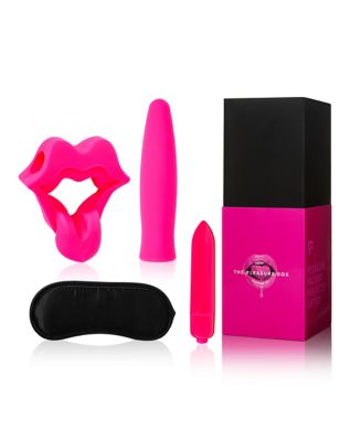 The Pleasure Box Sex Toy Kit