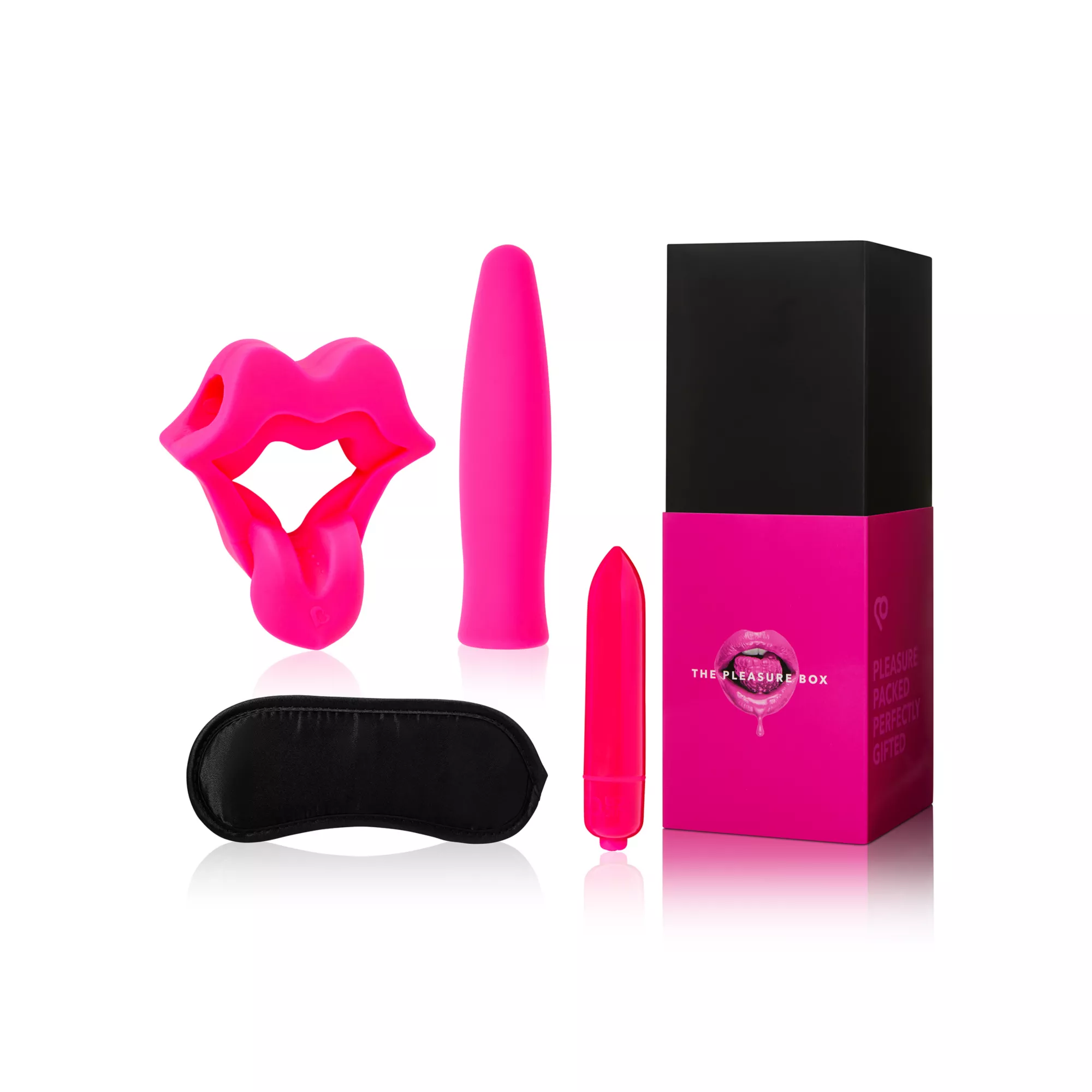 The Pleasure Box Sex Toy Kit at Spencer's