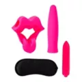 The Pleasure Box Sex Toy Kit at Spencer's