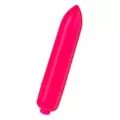 The Pleasure Box Sex Toy Kit at Spencer's