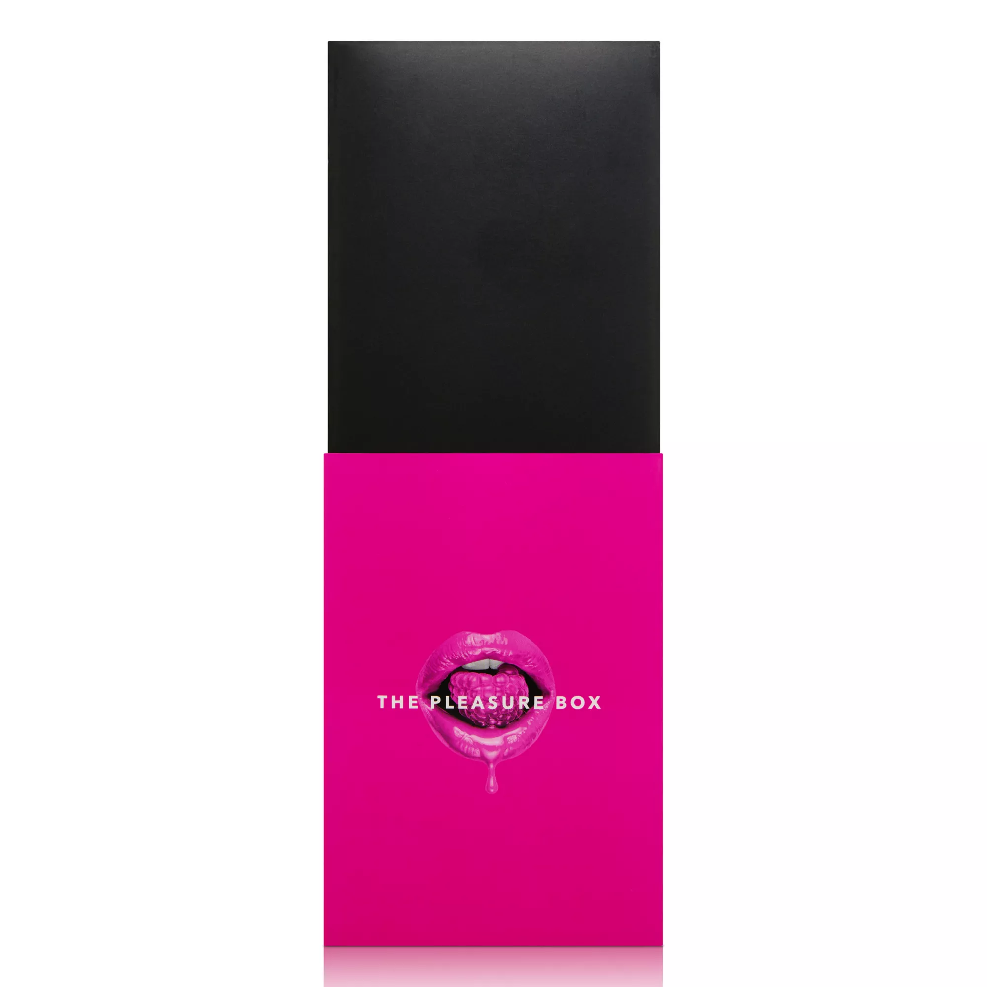 The Pleasure Box Sex Toy Kit at Spencer's