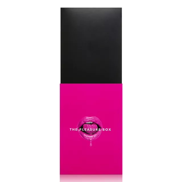 The Pleasure Box Sex Toy Kit at Spencer's