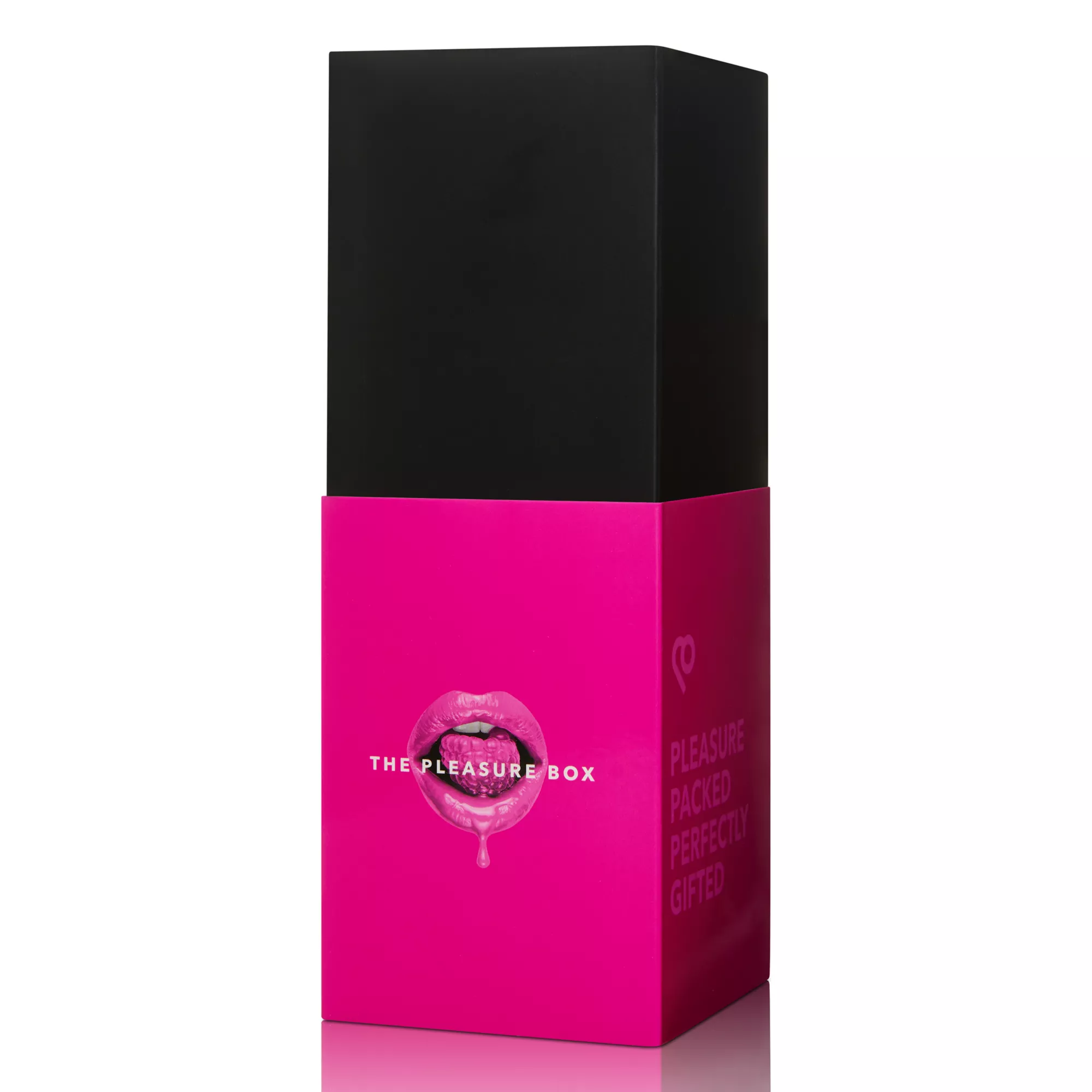 The Pleasure Box Sex Toy Kit at Spencer's