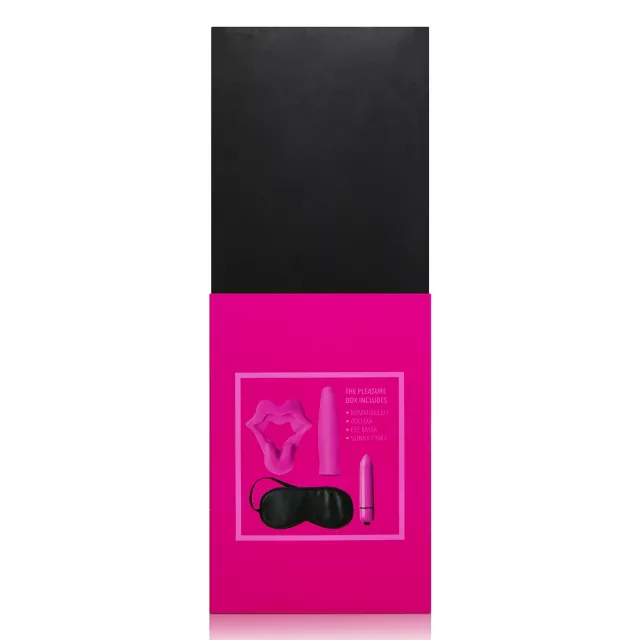 The Pleasure Box Sex Toy Kit at Spencer's