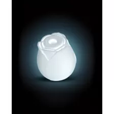 Glow in the Dark 10-Function Rechargeable Rose Clitoral Vibrator - 2.6 Inch at Spencer's