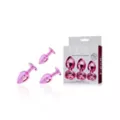 Pink Metal Butt Plug Trainer Set - Nixie at Spencer's