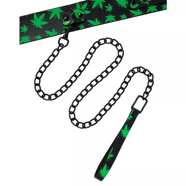 Stoner Vibes Glow in the Dark Collar and Leash at Spencer's