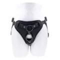 Dual Desires Strap-On Harness at Spencer's