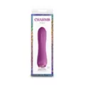 10-Function Fern Jeweled Rechargeable Vibrator - 5.3 Inch at Spencer's
