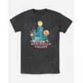 Coachella Valley Washed T Shirt at Spencer's