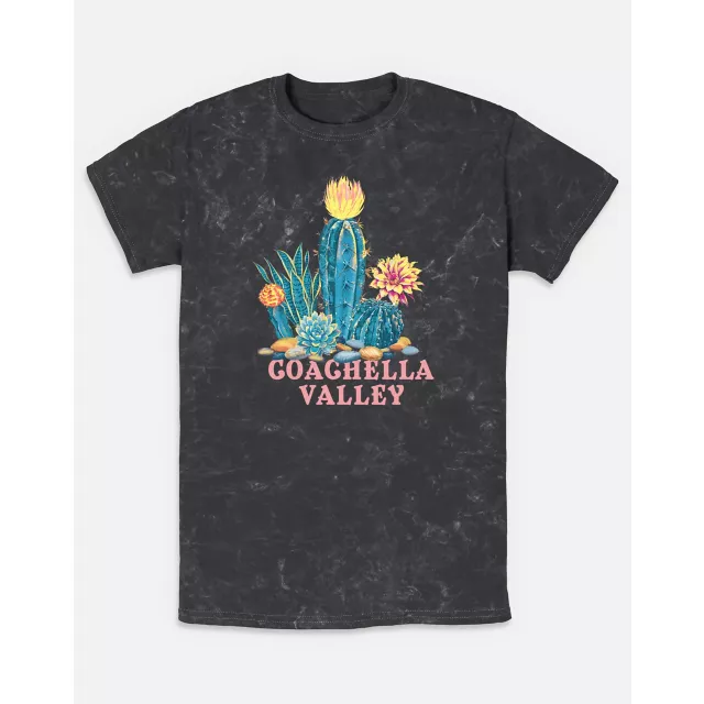 Coachella Valley Washed T Shirt at Spencer's