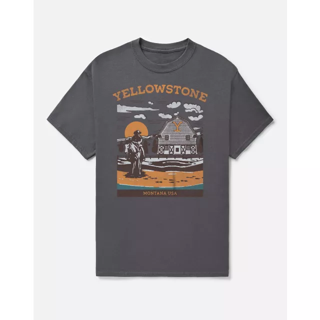 Gray Yellowstone T Shirt at Spencer's