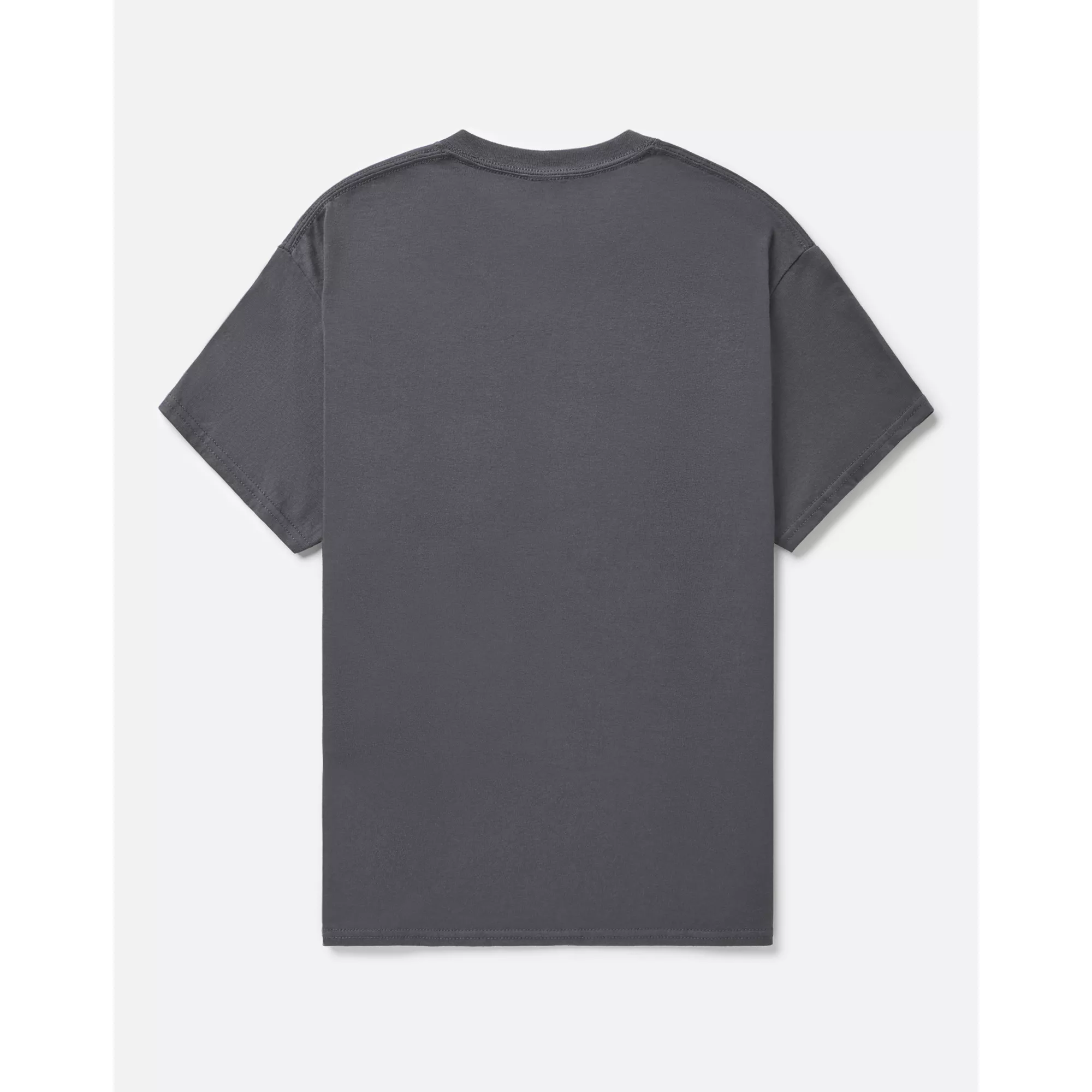 Gray Yellowstone T Shirt at Spencer's