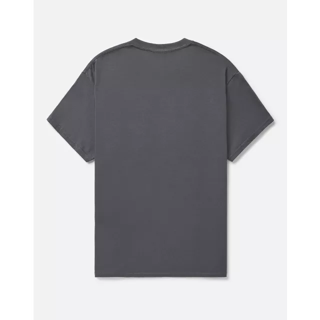 Gray Yellowstone T Shirt at Spencer's