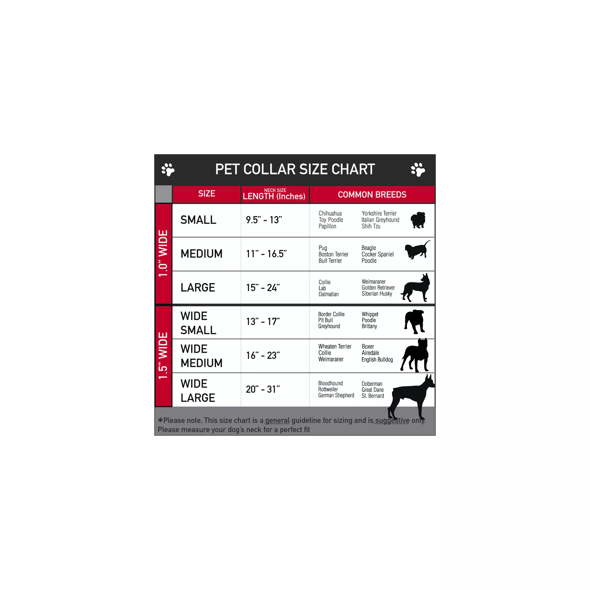 Buckle-Down Friday the 13th Dog Collar at Spencer's