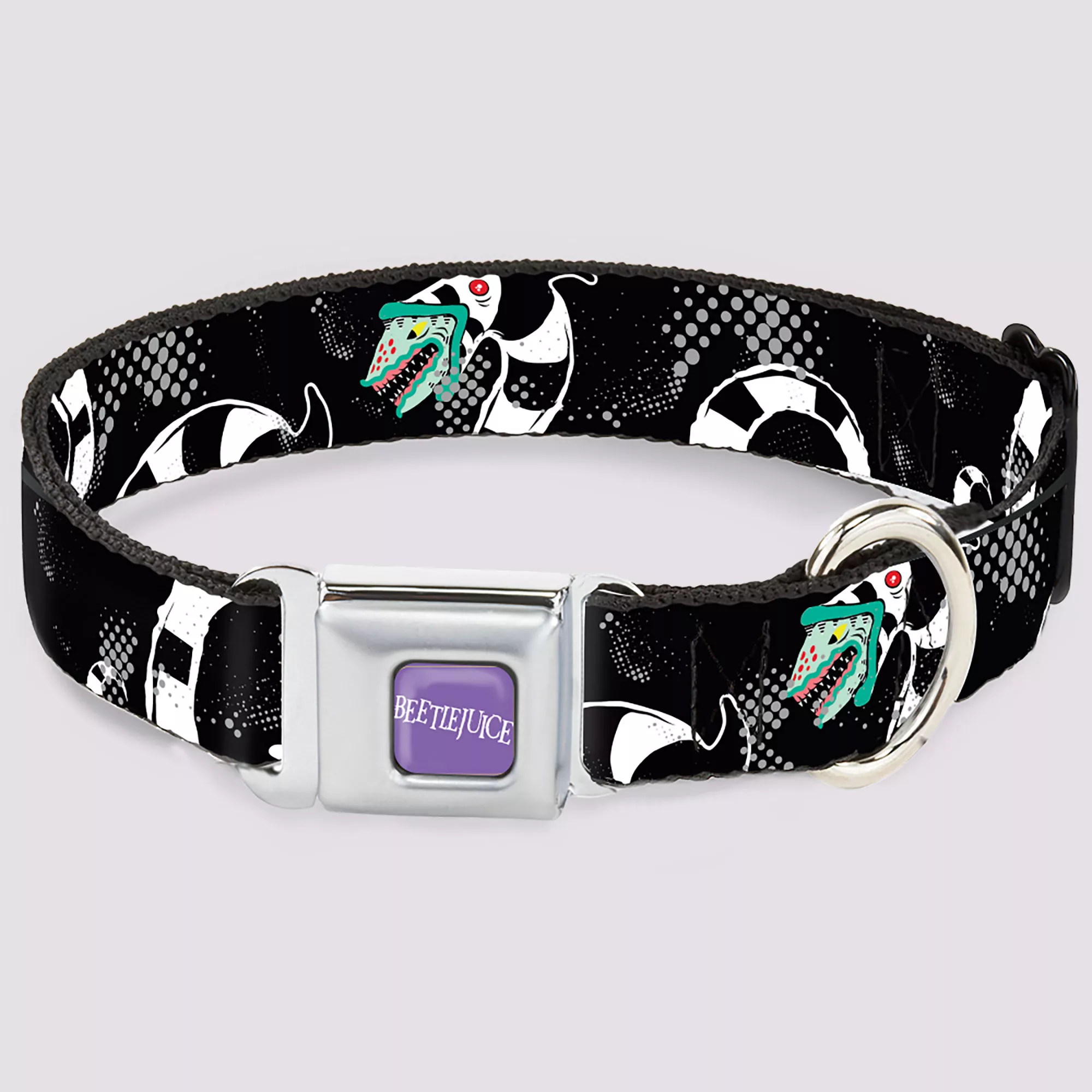 Buckle-Down Sandworm Dog Collar - Beetlejuice at Spencer's