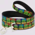 Buckle-Down Teenage Mutant Ninja Turtles Faces Dog Leash at Spencer's