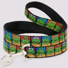 Buckle-Down Teenage Mutant Ninja Turtles Faces Dog Leash at Spencer's
