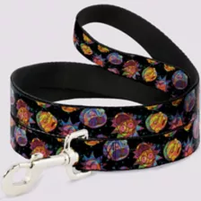 Buckle-Down Multi-Color Rick and Morty Faces Dog Leash at Spencer's