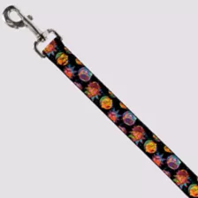 Buckle-Down Multi-Color Rick and Morty Faces Dog Leash at Spencer's