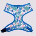 Buckle-Down Stitch Floral Print Dog Harness - Lilo & Stitch at Spencer's