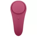 Satisfyer Sexy Secret Panty Vibrator at Spencer's
