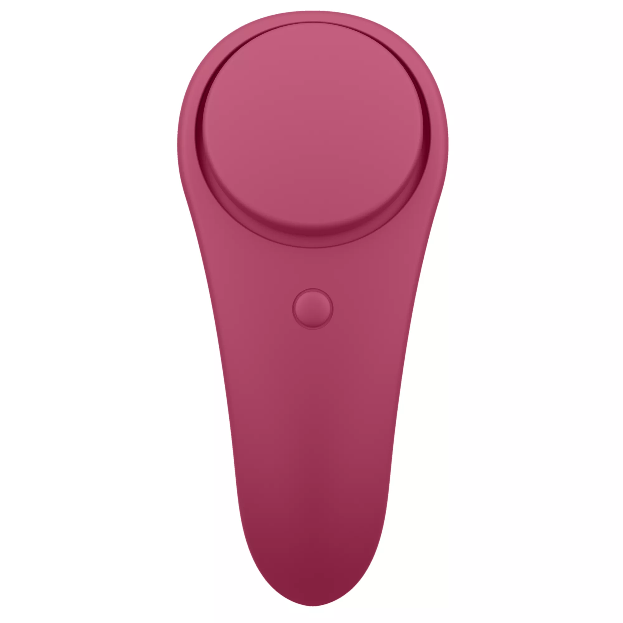 Satisfyer Sexy Secret Panty Vibrator at Spencer's