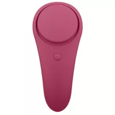Satisfyer Sexy Secret Panty Vibrator at Spencer's