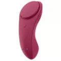 Satisfyer Sexy Secret Panty Vibrator at Spencer's