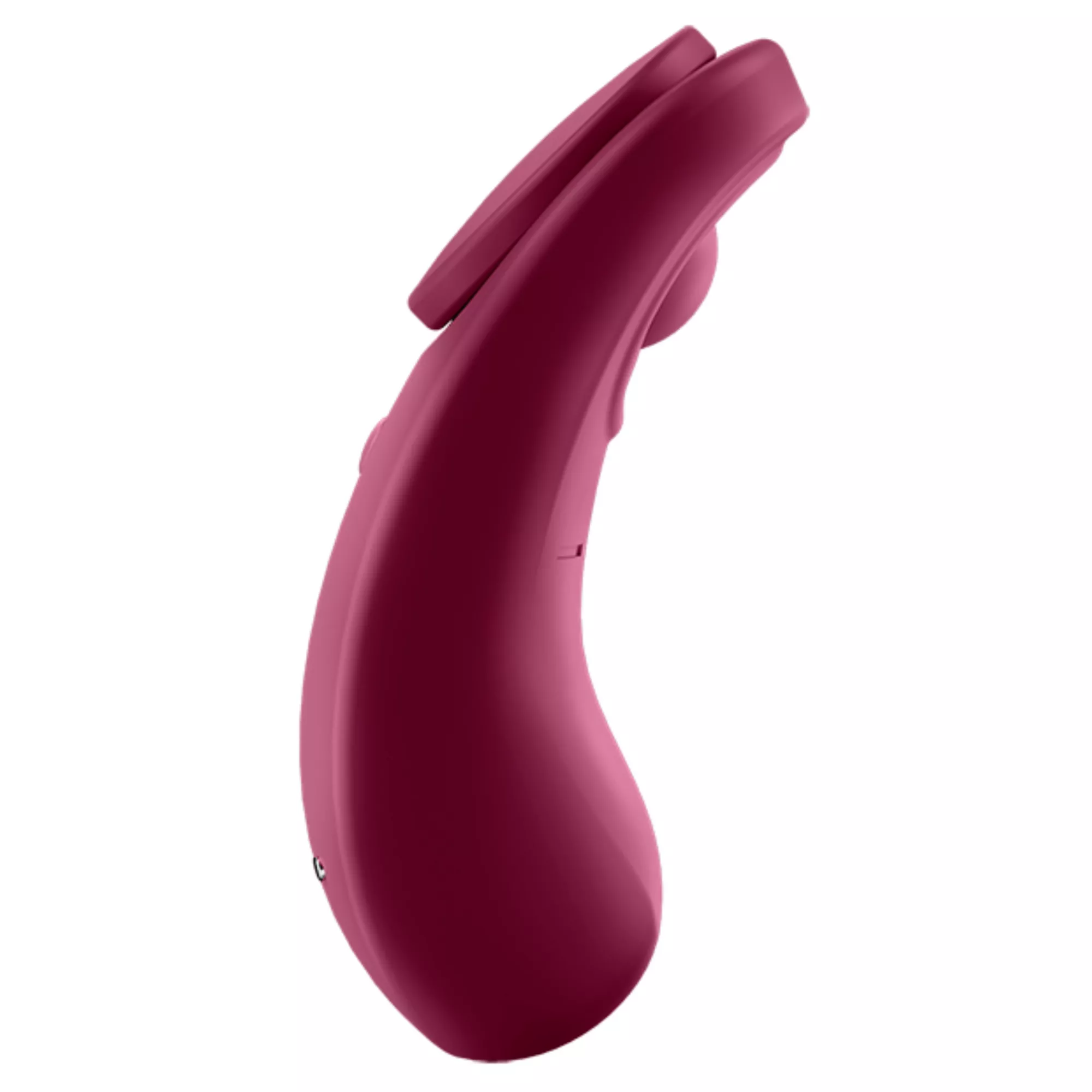 Satisfyer Sexy Secret Panty Vibrator at Spencer's