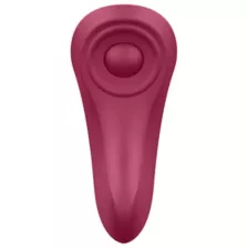 Satisfyer Sexy Secret Panty Vibrator at Spencer's