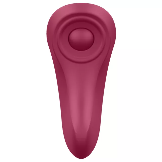 Satisfyer Sexy Secret Panty Vibrator at Spencer's