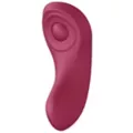 Satisfyer Sexy Secret Panty Vibrator at Spencer's