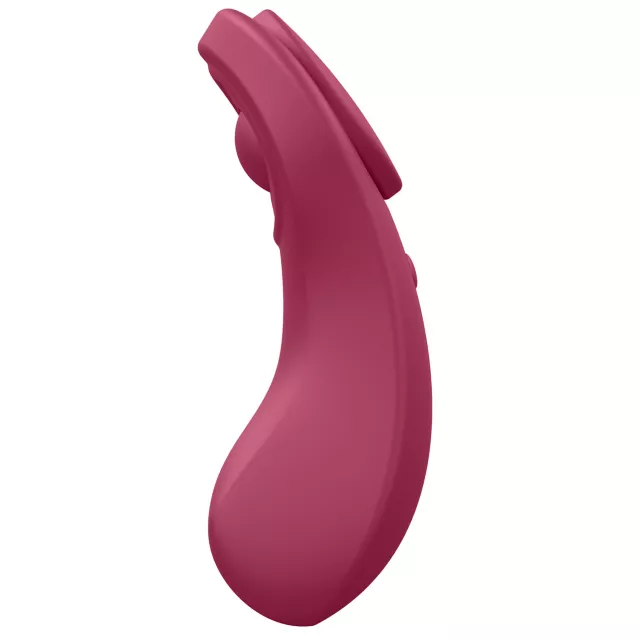 Satisfyer Sexy Secret Panty Vibrator at Spencer's