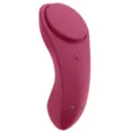 Satisfyer Sexy Secret Panty Vibrator at Spencer's