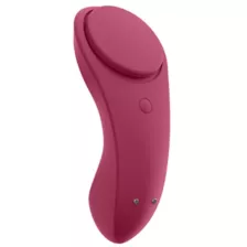 Satisfyer Sexy Secret Panty Vibrator at Spencer's