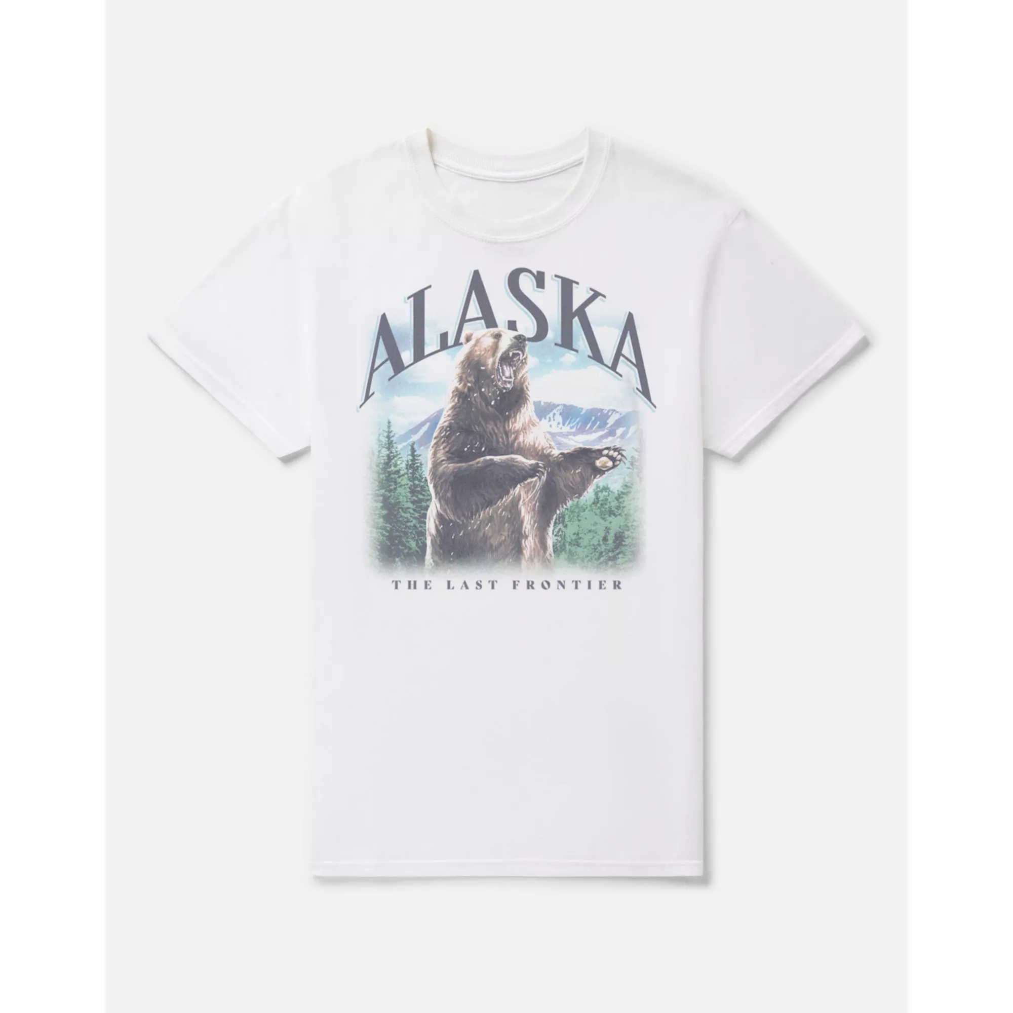 Alaska The Last Frontier T Shirt at Spencer's