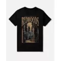 California Redwoods T Shirt at Spencer's