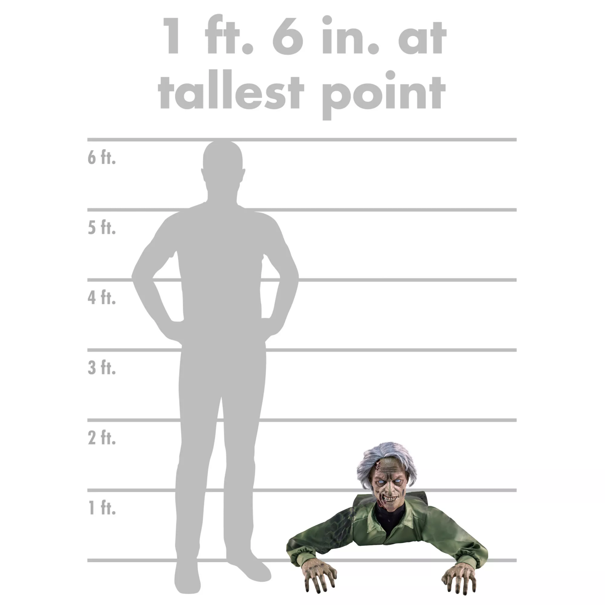 1 Ft 6 In Creepy Crawler Animatronic