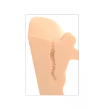 Perfect Ride Hands-Free Masturbator - Light Beige at Spencer's